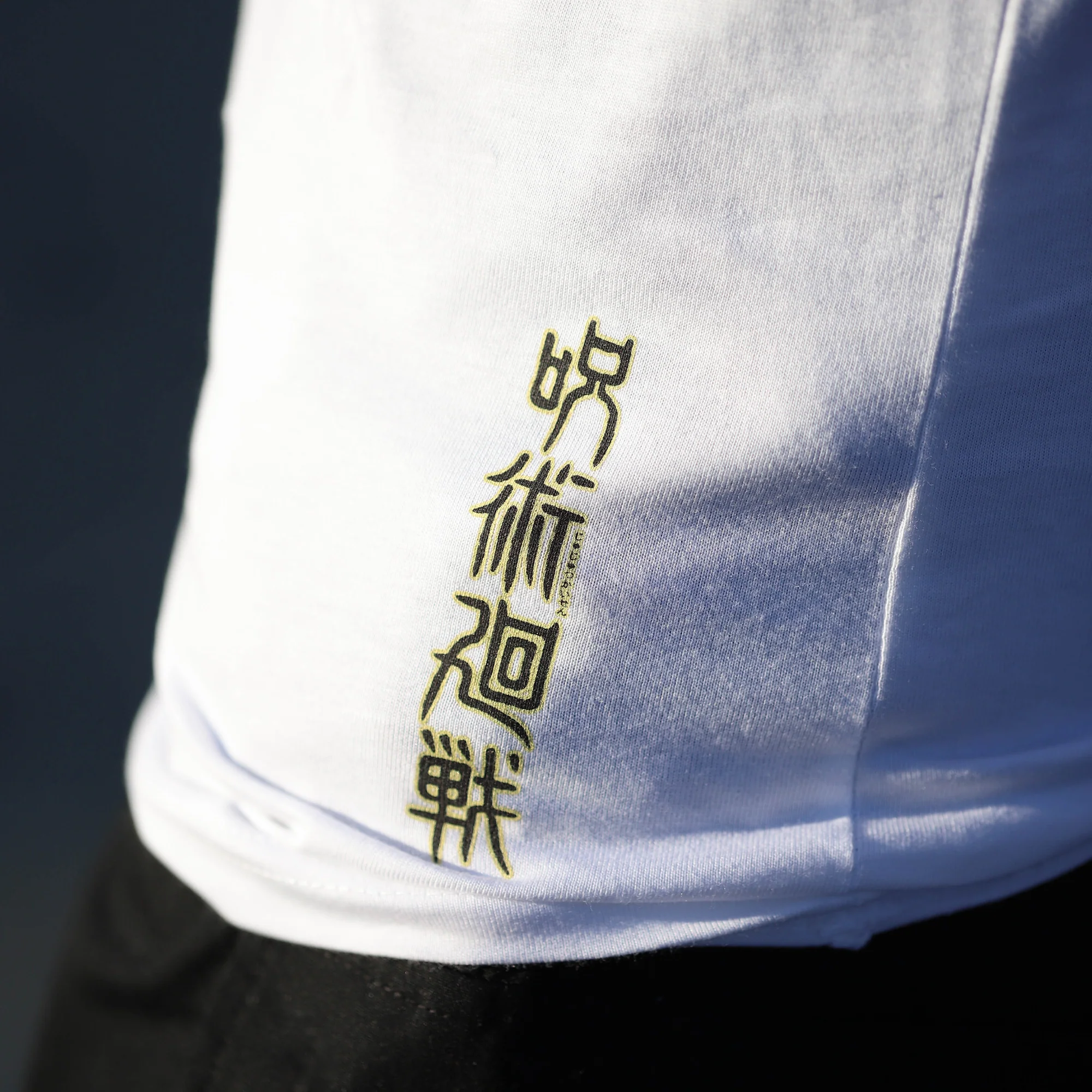 Jujutsu Kaisen Sukuna King of Curses Raglan T-Shirt - Image 3