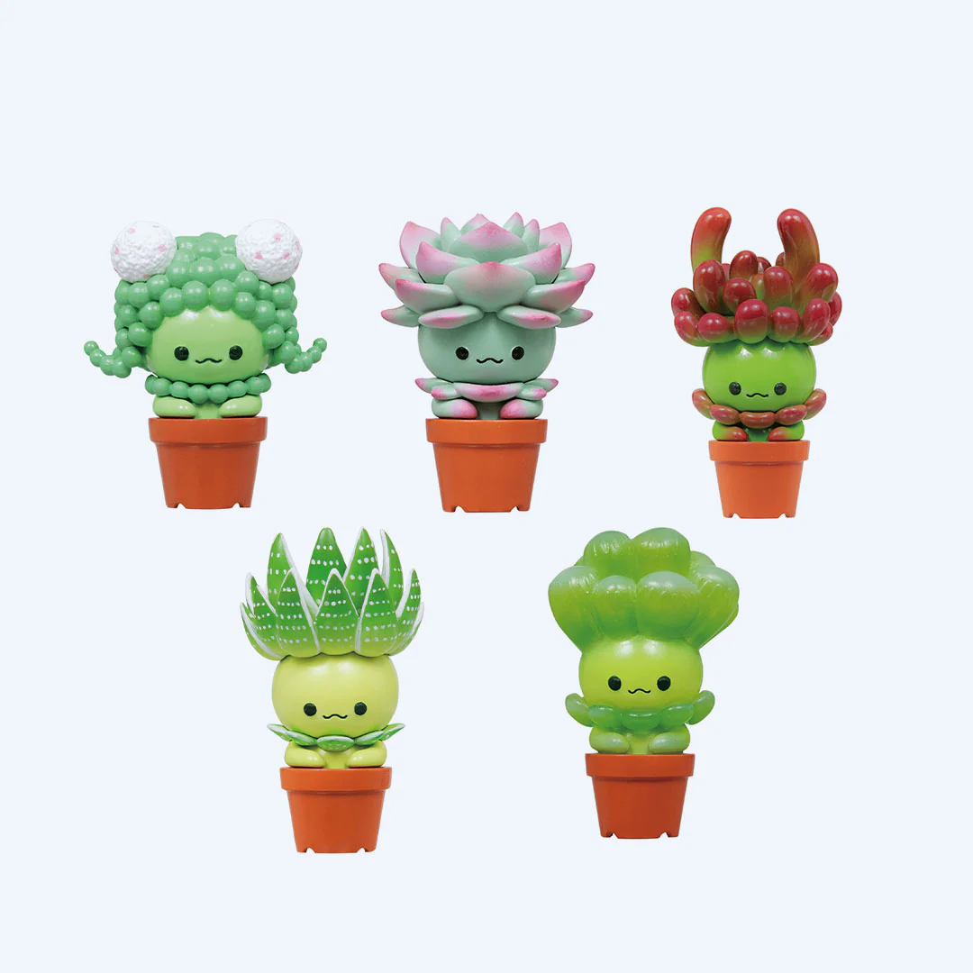 Succulent Friends Blind Box