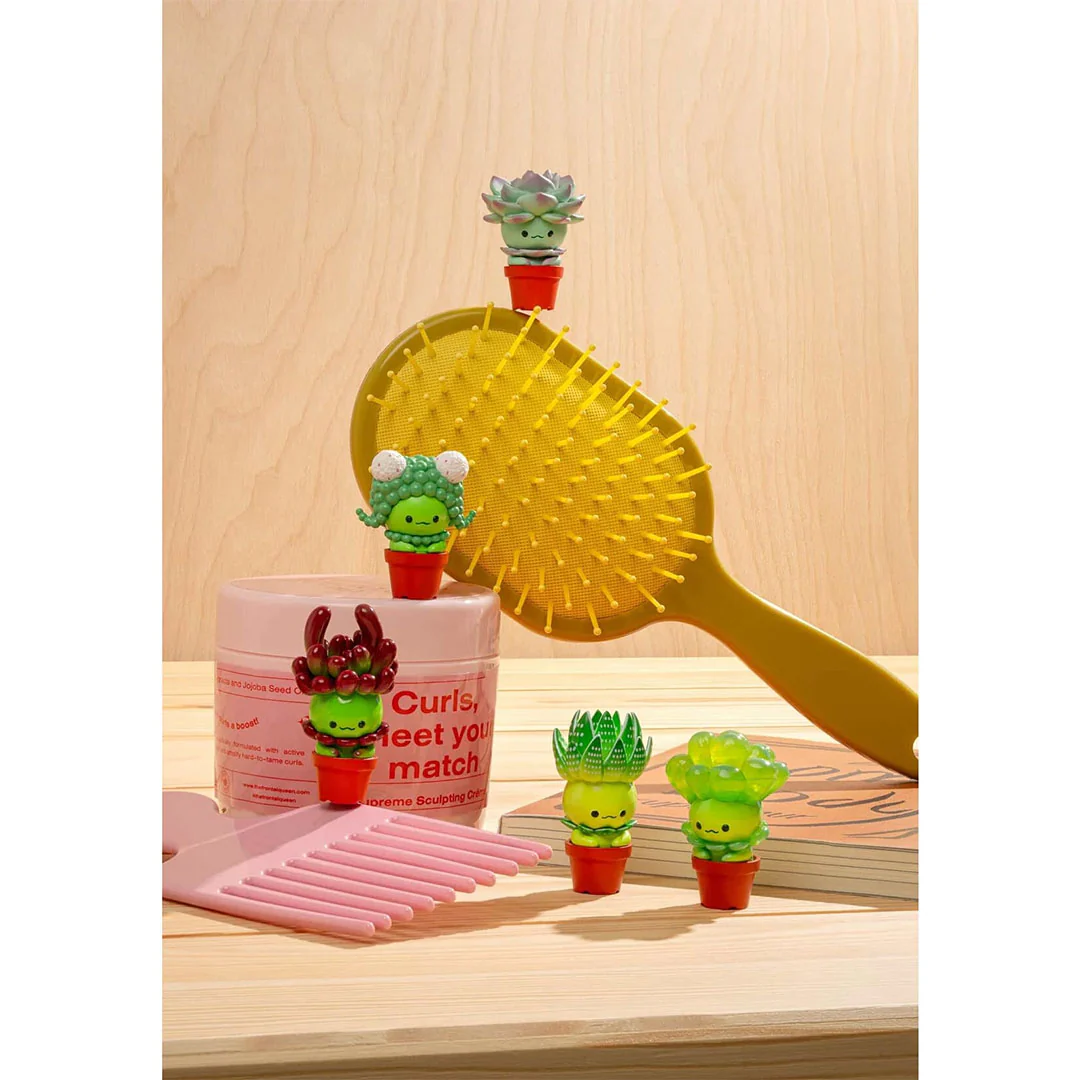 Succulent Friends Blind Box - Image 2