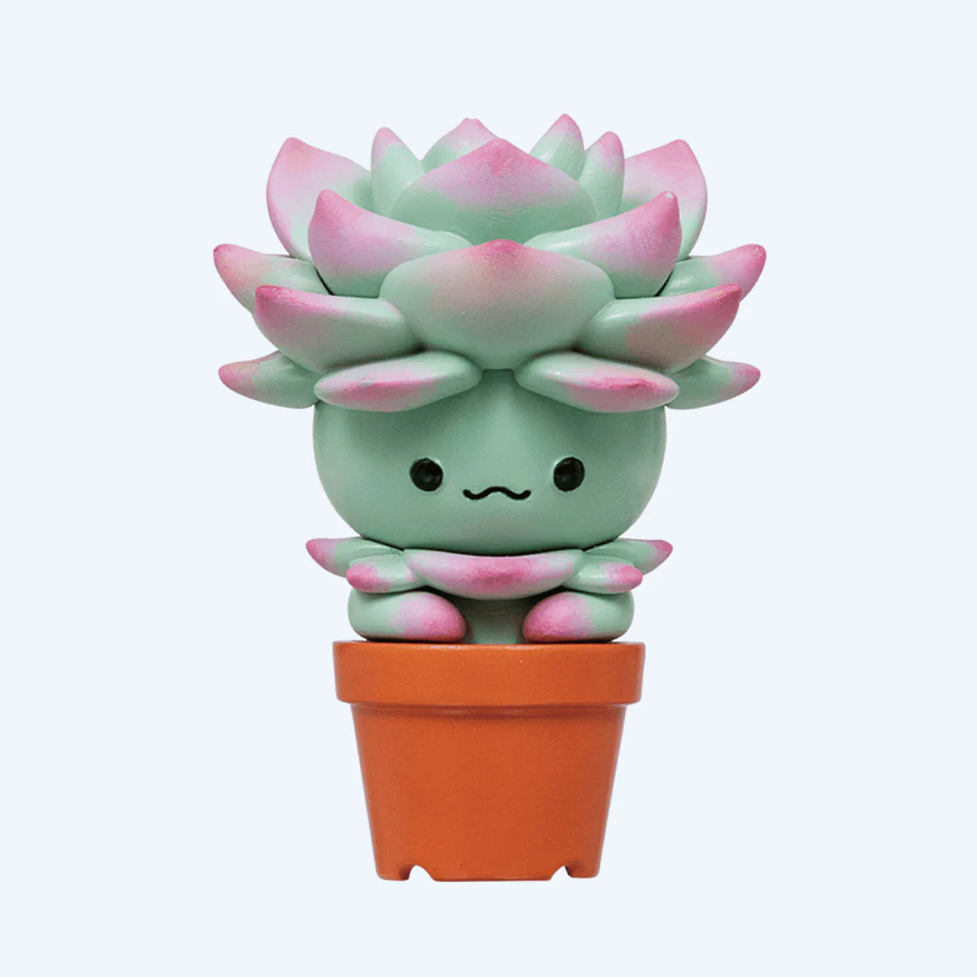 Succulent Friends Blind Box - Image 6